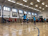  autor: Petra Zaj�cov�