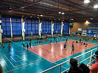 autor: Petra Zajícová