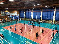 autor: Petra Zajícová