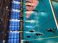 autor: Petra Zajícová