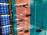 autor: Petra Zajícová