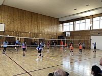 autor: Petra Zajícová