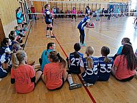 autor: Radana Dokoupilová