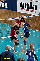  autor: Tom Vychlopen