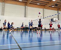 autor: Dominika Crhová