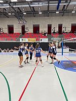  autor: Dominika Crhov