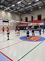  autor: Dominika Crhov