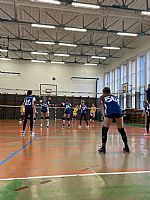  autor: Dominika Crhov�