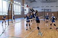 autor: Dominika Crhová