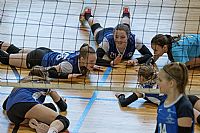 autor: Dominika Crhová